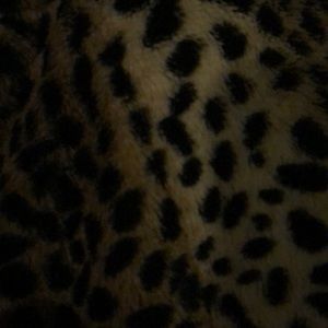 Meet your Posher, Tori